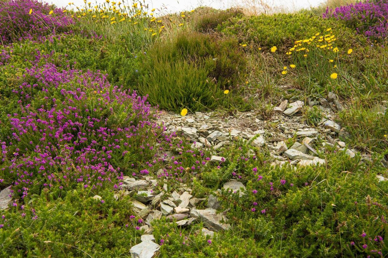 Apartamento Ring Of Kerry - Einmaliger Blick Auf Skelligs Clynacartan Exterior foto